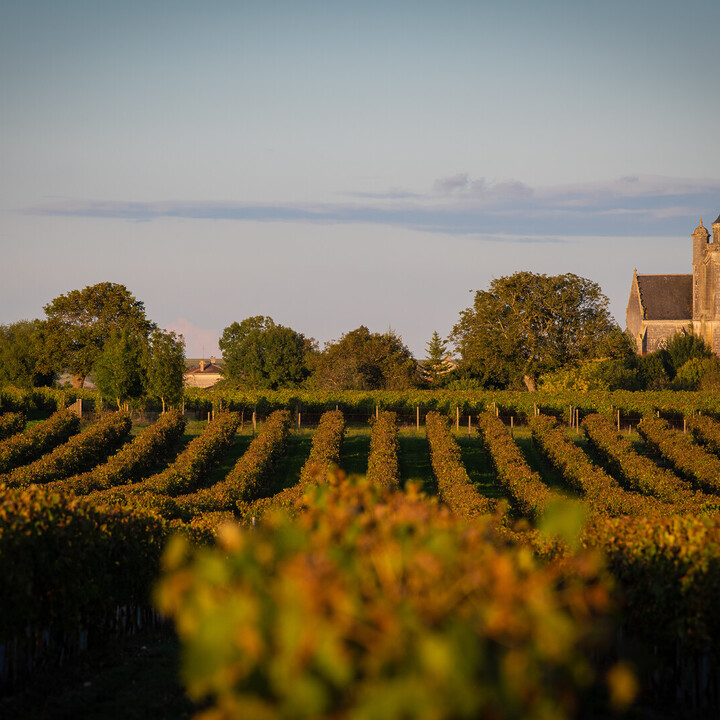 À la découverte des plus beaux villages autour de Cognac - 2026 - 12 - visiter la champagne visiter la champagne - À la découverte des plus beaux villages autour de Cognac - 2026 - 11