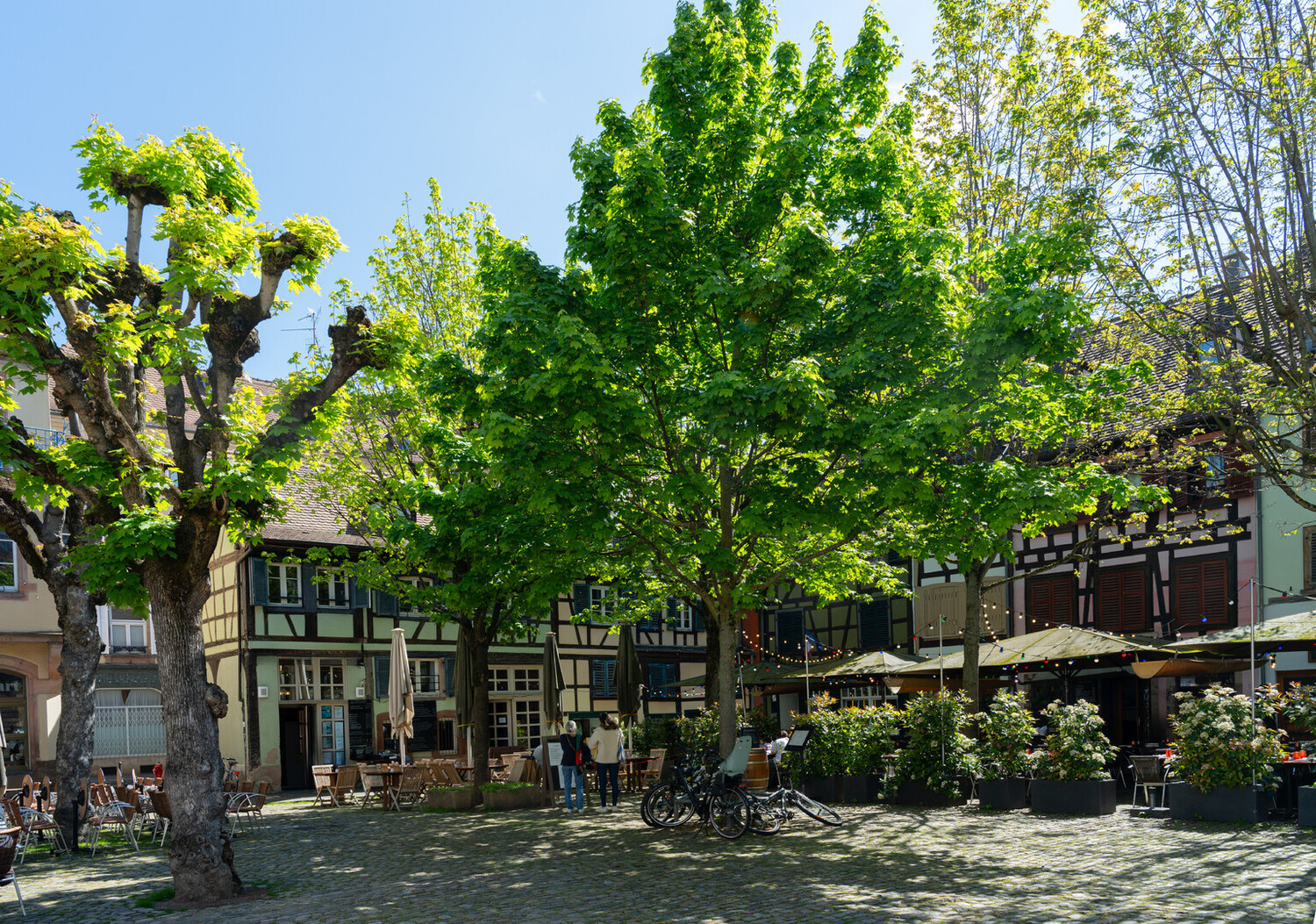 wine bars strasbourg - The Ultimate Guide to the Best Wine Bars Strasbourg - 2026 - 7