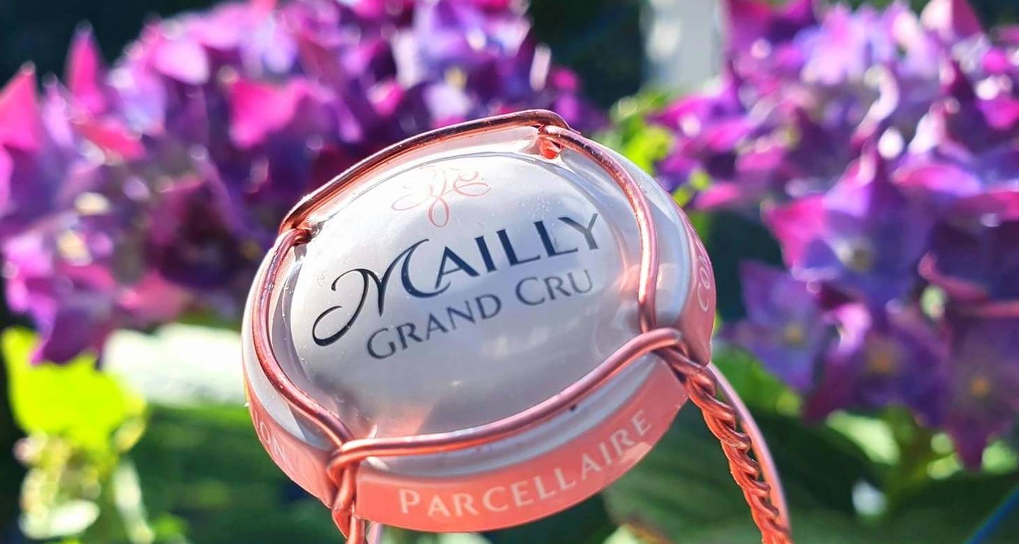 Visiter Reims en 2 jours : Le guide incontournable - 2026 - 36 - visiter reims en 2 jours visiter reims en 2 jours - Visiter Reims en 2 jours : Le guide incontournable - 2026 - 35