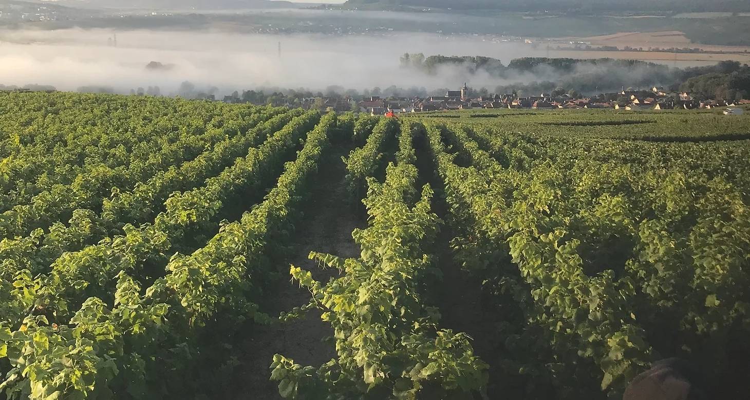 Visiter Reims en 2 jours : Le guide incontournable - 2026 - 32 - visiter reims en 2 jours visiter reims en 2 jours - Visiter Reims en 2 jours : Le guide incontournable - 2026 - 31