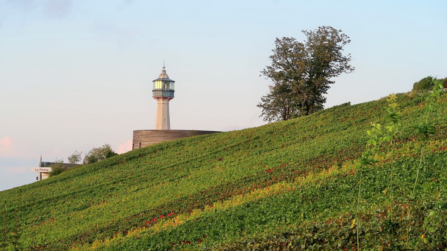 Visiter la Champagne : les plus beaux paysages - 2026 - 48 - visiter la champagne visiter la champagne - Visiter la Champagne : les plus beaux paysages - 2026 - 47