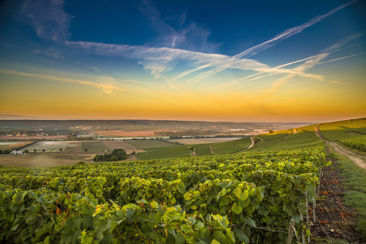 Top things to do in Champagne France if you love wine - 2026 - 2 - things to do in champagne france things to do in champagne france - Top things to do in Champagne France if you love wine - 2026 - 1