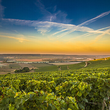 Visiter la Champagne : les plus beaux paysages - 2026 - 48 - - Visiter la Champagne : les plus beaux paysages - 2026 - 47