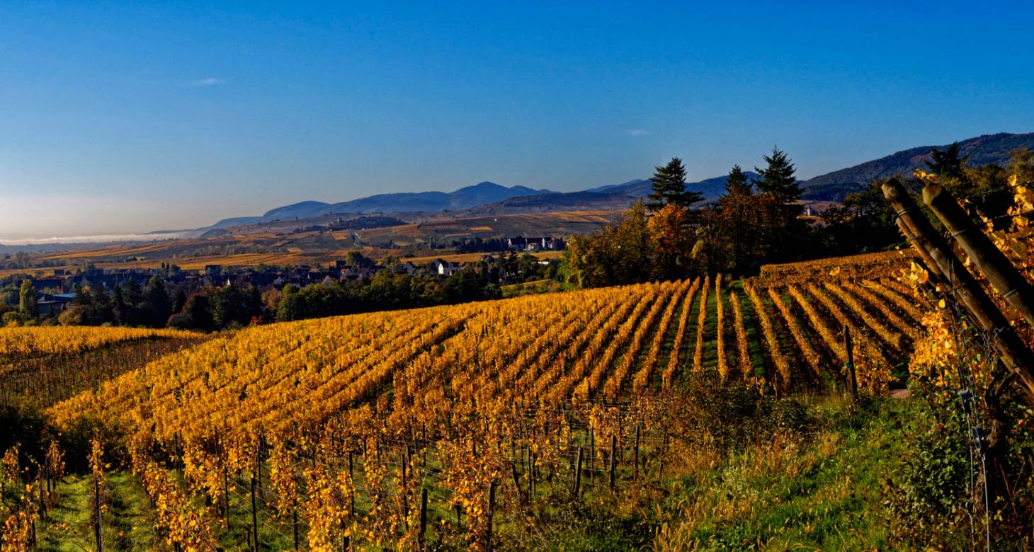 Sortir en Alsace ce week-end: Agenda des bons plans et sorties - 2026 - 10 - sortir en alsace ce week-end sortir en alsace ce week-end - Sortir en Alsace ce week-end: Agenda des bons plans et sorties - 2026 - 9