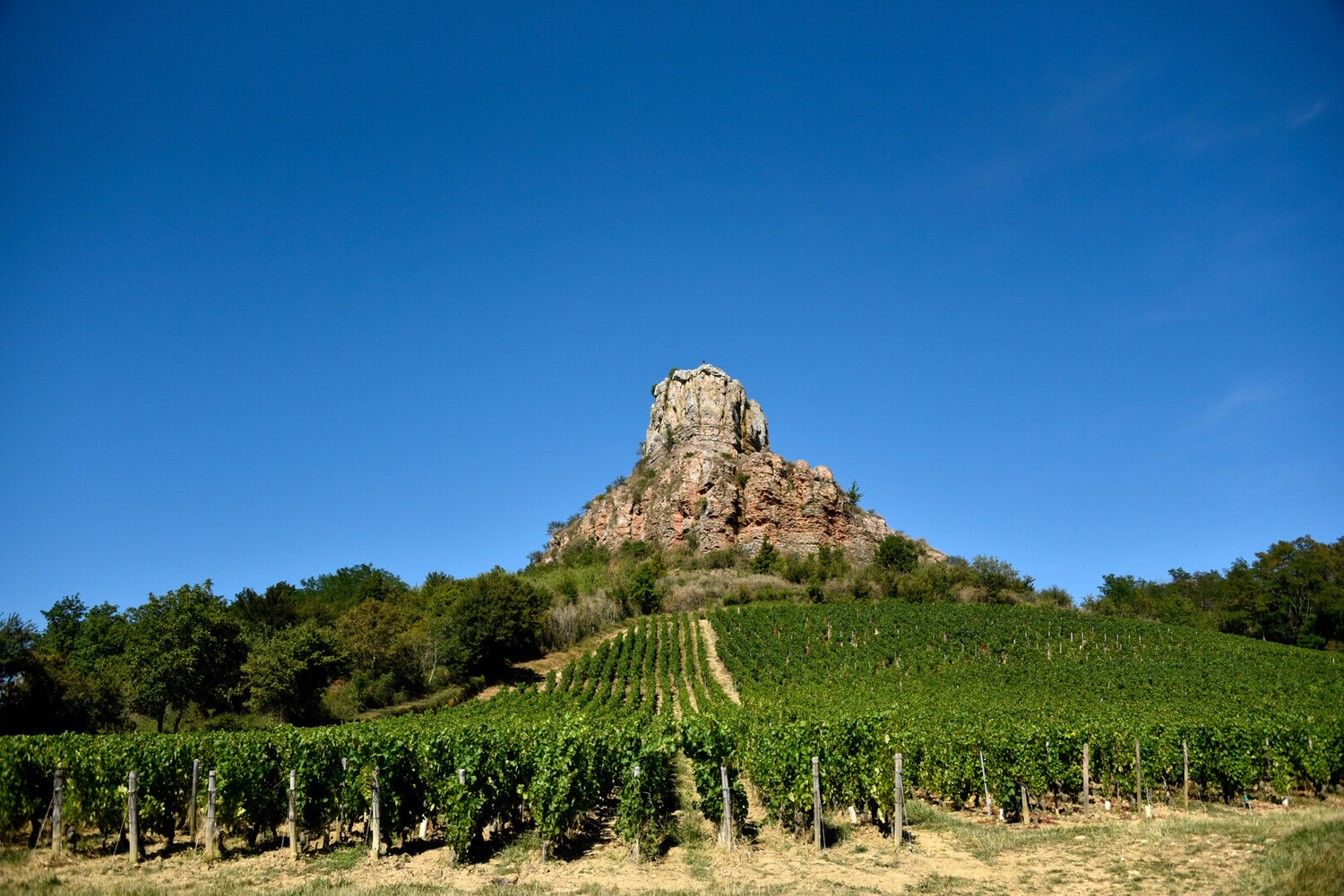 Que faire en Bourgogne ? Les 15 choses incontournables à voir - 2026 - 36 - que faire en bourgogne,où aller en bourgogne que faire en bourgogne,où aller en bourgogne - Que faire en Bourgogne ? Les 15 choses incontournables à voir - 2026 - 35