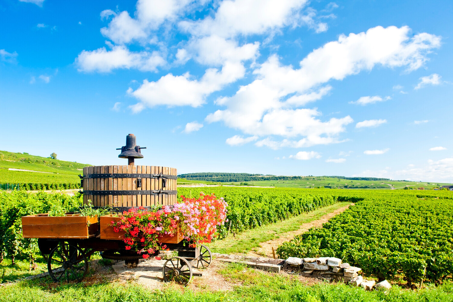 Visiter la Bourgogne en voiture : Road trip sur la route des grands crus - 2026 - 27 - visiter la bourgogne en voiture visiter la bourgogne en voiture - Visiter la Bourgogne en voiture : Road trip sur la route des grands crus - 2026 - 26
