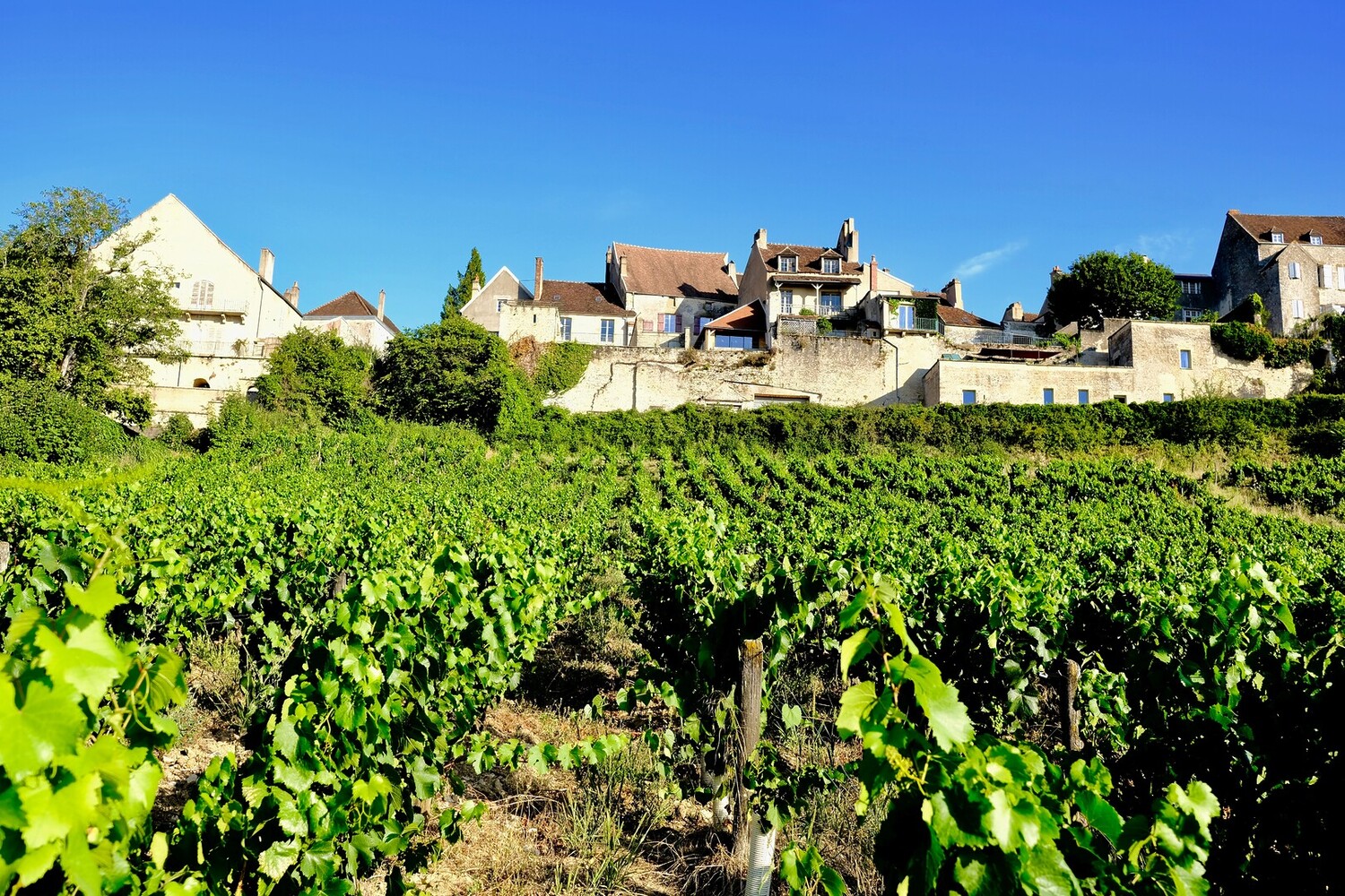 Visiter la Bourgogne en voiture : Road trip sur la route des grands crus - 2026 - 23 - visiter la bourgogne en voiture visiter la bourgogne en voiture - Visiter la Bourgogne en voiture : Road trip sur la route des grands crus - 2026 - 22