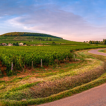 Visiter la Bourgogne en voiture : Road trip sur la route des grands crus - 2026 - 30 - - Visiter la Bourgogne en voiture : Road trip sur la route des grands crus - 2026 - 29