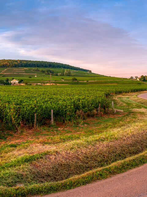 - Visiter la Bourgogne en voiture : Road trip sur la route des grands crus - 2026 - 5