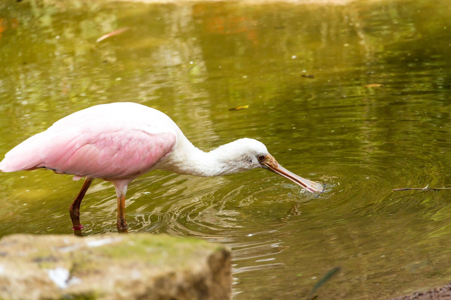 Que Faire à Metz : Découvrez ses Bonnes Adresses - 2026 - 16 - que faire à metz que faire à metz - Que Faire à Metz : Découvrez ses Bonnes Adresses - 2026 - 15