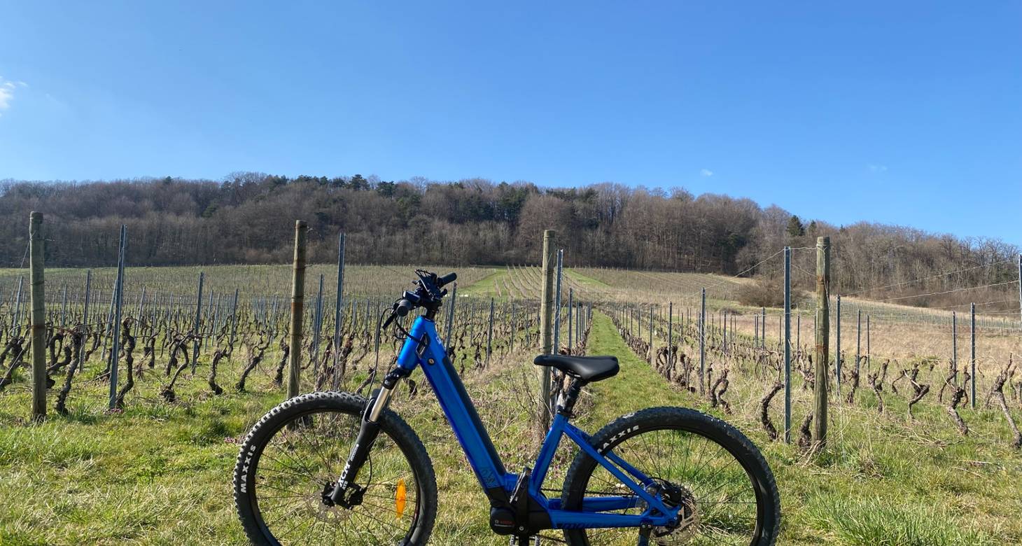 Que faire à Nancy : Visite des incontournables en un week-end - 2026 - 12 - que faire à Nancy que faire à Nancy - Que faire à Nancy : Visite des incontournables en un week-end - 2026 - 11