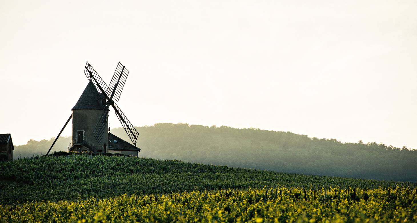 Top things to do in Macon France - 2026 - 13 - things to do in macon things to do in macon - Top things to do in Macon France - 2026 - 12