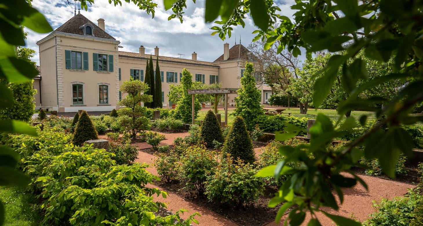 Top things to do in Macon France - 2026 - 15 - things to do in macon things to do in macon - Top things to do in Macon France - 2026 - 14