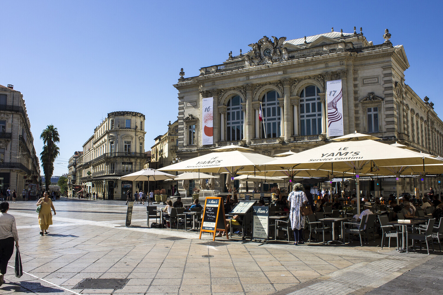 Bar à vin Montpellier : Dégustation en centre-ville - 2026 - 2 - bar à vin montpellier bar à vin montpellier - Bar à vin Montpellier : Dégustation en centre-ville - 2026 - 1