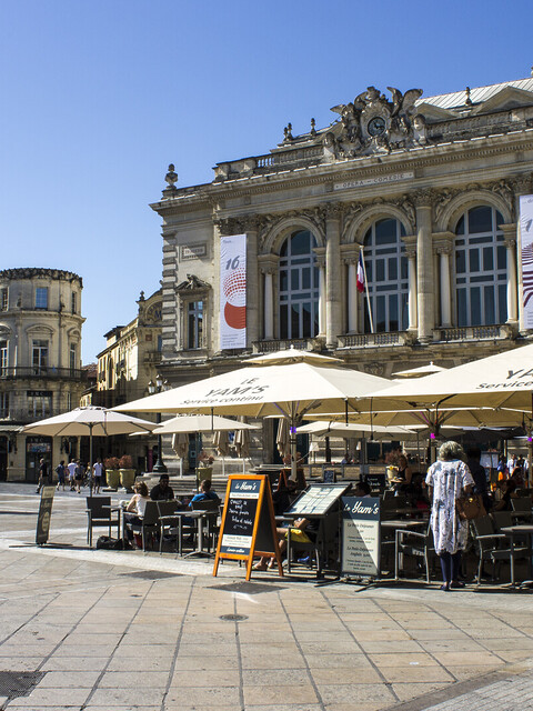 Bar à vin Montpellier : Dégustation en centre-ville - 2026 - 8 - - Bar à vin Montpellier : Dégustation en centre-ville - 2026 - 7