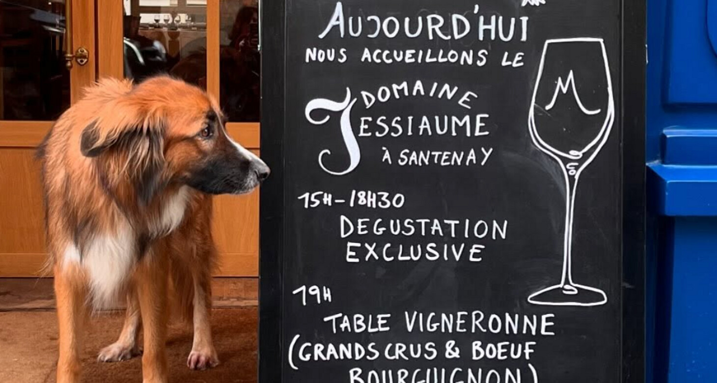 Bar à vin Montpellier : Dégustation en centre-ville - 2026 - 8 - bar à vin montpellier bar à vin montpellier - Bar à vin Montpellier : Dégustation en centre-ville - 2026 - 7