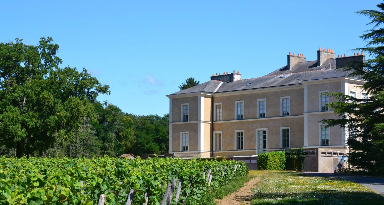 Visiter Clisson: Découverte enchantée en Loire-Atlantique - 2026 - 11 - visiter clisson visiter clisson - Visiter Clisson: Découverte enchantée en Loire-Atlantique - 2026 - 10