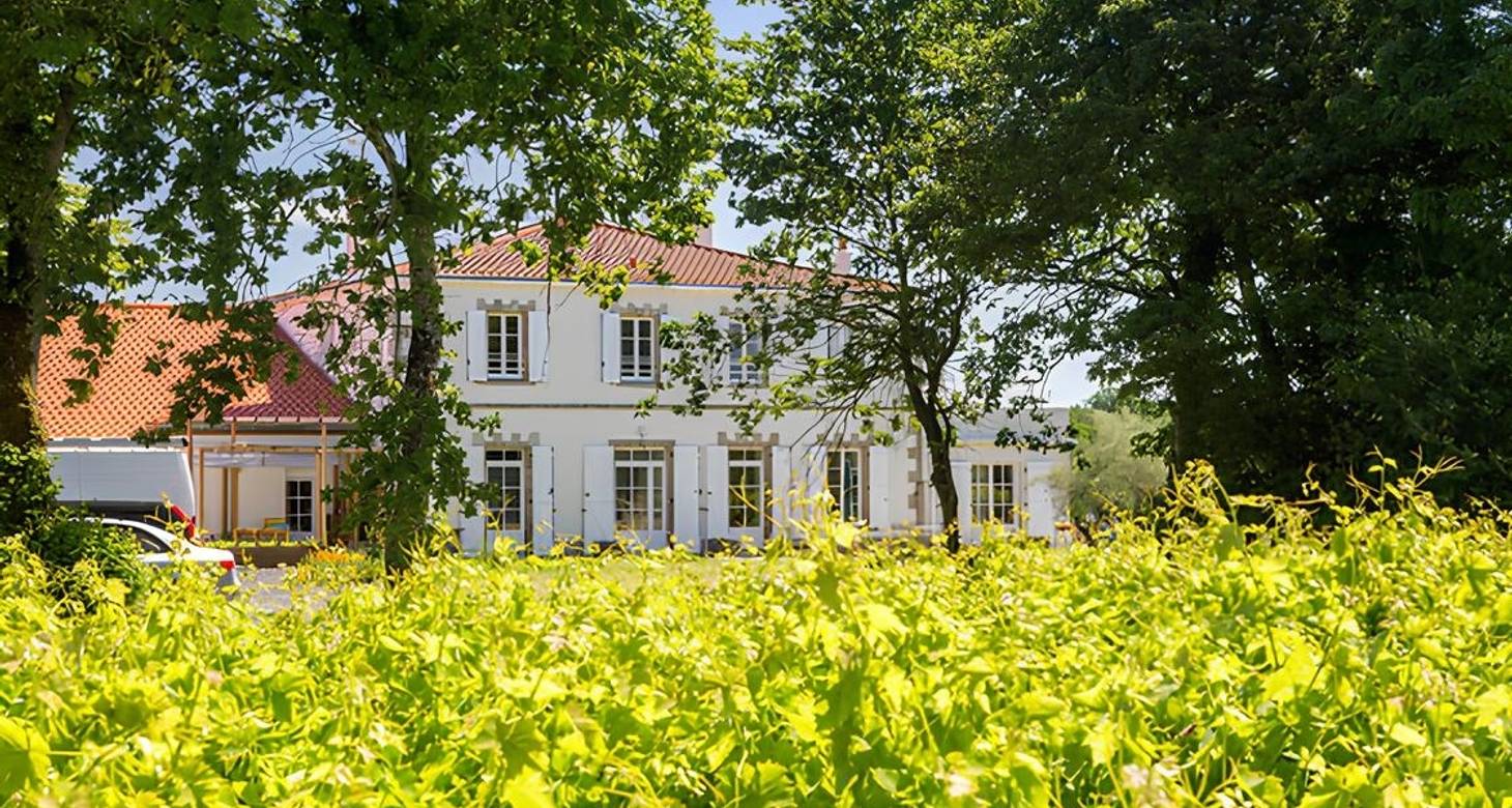 Visiter Clisson: Découverte enchantée en Loire-Atlantique - 2026 - 9 - visiter clisson visiter clisson - Visiter Clisson: Découverte enchantée en Loire-Atlantique - 2026 - 8