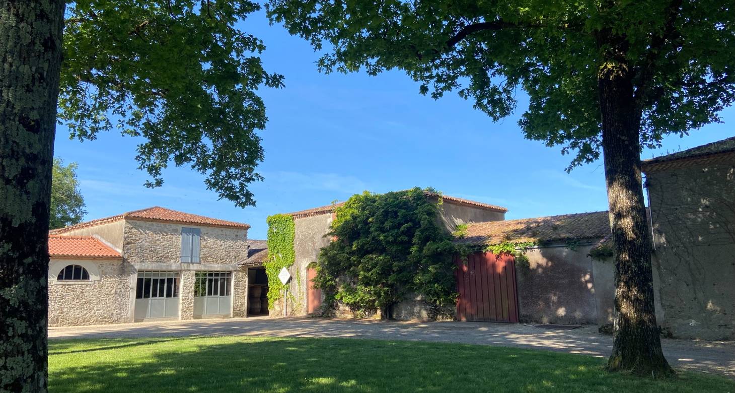 Bar à vin Nantes : Sélection des meilleurs bars à vins à Nantes - 2026 - 6 - bar a vin nantes bar a vin nantes - Bar à vin Nantes : Sélection des meilleurs bars à vins à Nantes - 2026 - 5