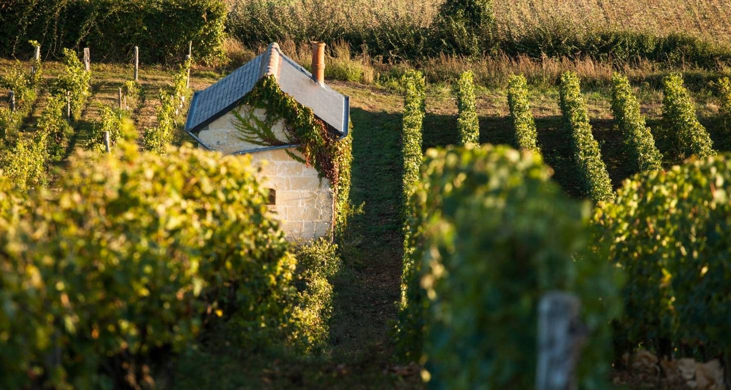 Meilleur bar à vin Tours : Guide des meilleures adresses - 2026 - 10 - bar à vin tours bar à vin tours - Meilleur bar à vin Tours : Guide des meilleures adresses - 2026 - 9