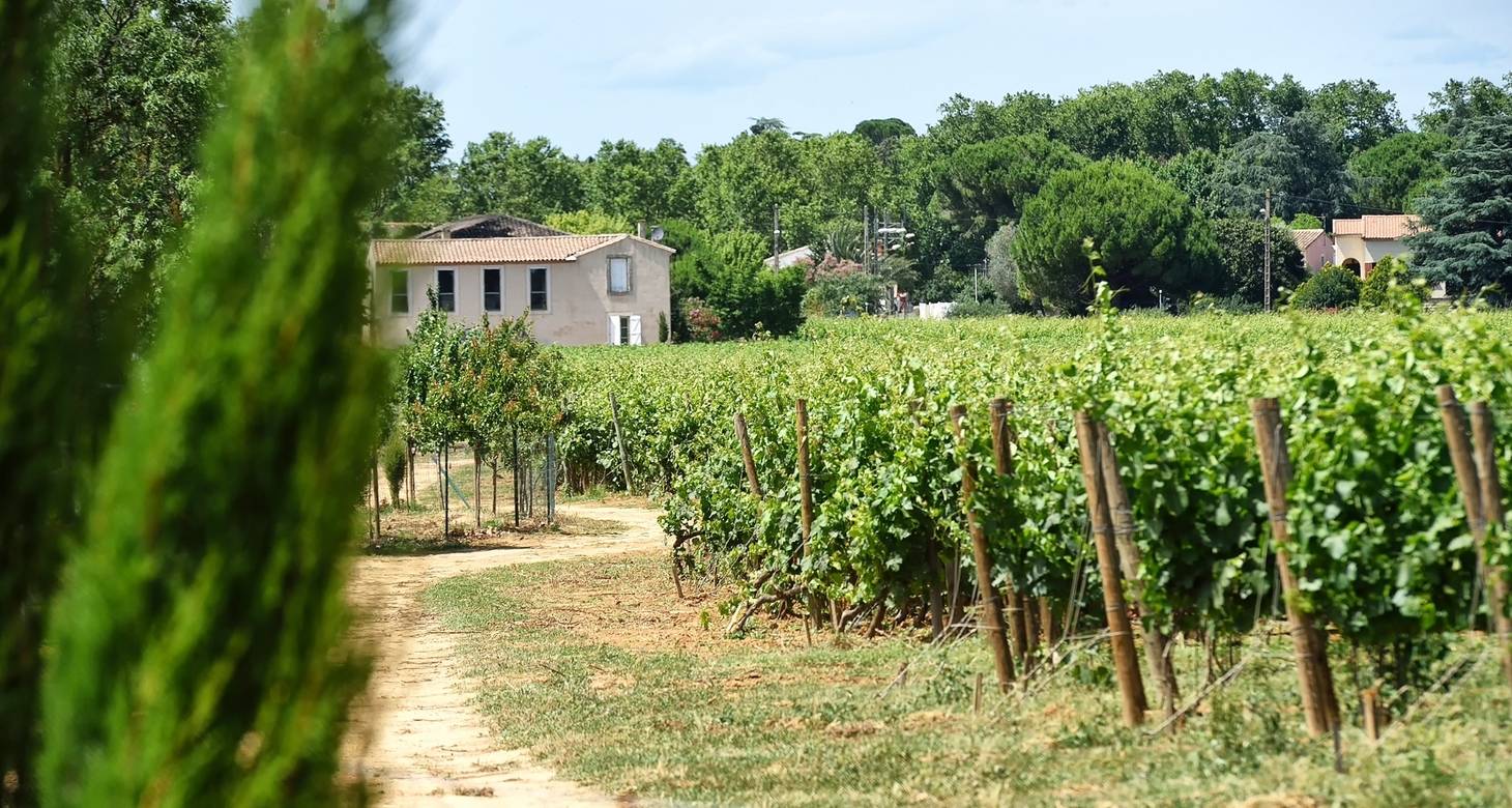 Discover the best things to do in Montpellier: The travel guide - 2026 - 13 - things to do in montpellier france things to do in montpellier france - Discover the best things to do in Montpellier: The travel guide - 2026 - 12