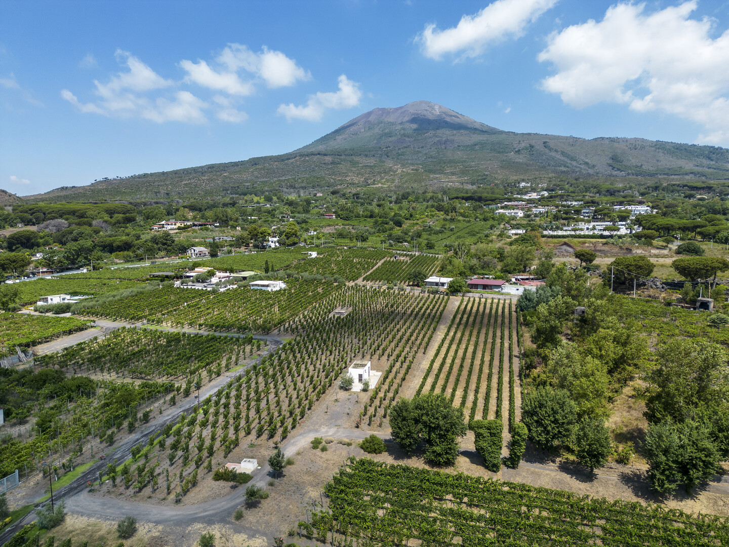Wine Tasting Near Pompeii: Your Guide to Vesuvius Wine Tourism - 2026 - 4 - pompeii wine tasting pompeii wine tasting - Wine Tasting Near Pompeii: Your Guide to Vesuvius Wine Tourism - 2026 - 3