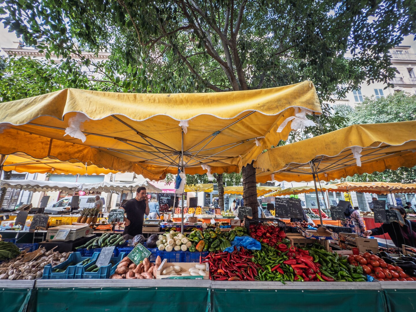 Visiter Toulon : sa rade, le musée national de la marine et sa rue des arts - 2026 - 8 - visiter toulon visiter toulon - Visiter Toulon : sa rade, le musée national de la marine et sa rue des arts - 2026 - 7