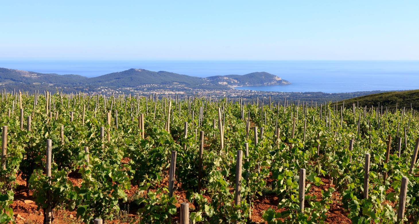 Visiter Toulon : sa rade, le musée national de la marine et sa rue des arts - 2026 - 14 - visiter toulon visiter toulon - Visiter Toulon : sa rade, le musée national de la marine et sa rue des arts - 2026 - 13