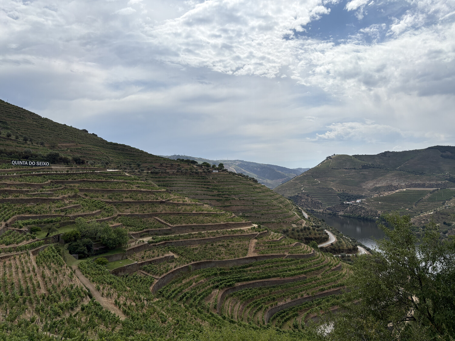 TOP 15 Wineries in the Douro Valley to visit - 2026 - 8 - Douro valley wineries Quinta Do Seixo – Valença do Douro (5)