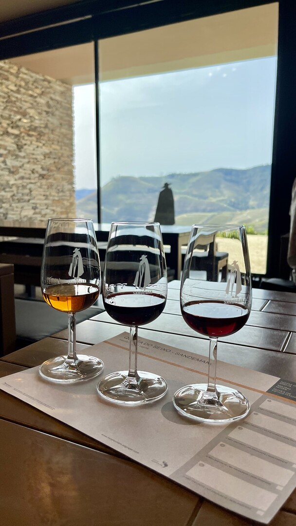TOP 15 Wineries in the Douro Valley to visit - 2026 - 7 - Douro valley wineries Quinta Do Seixo – Valença do Douro (4)
