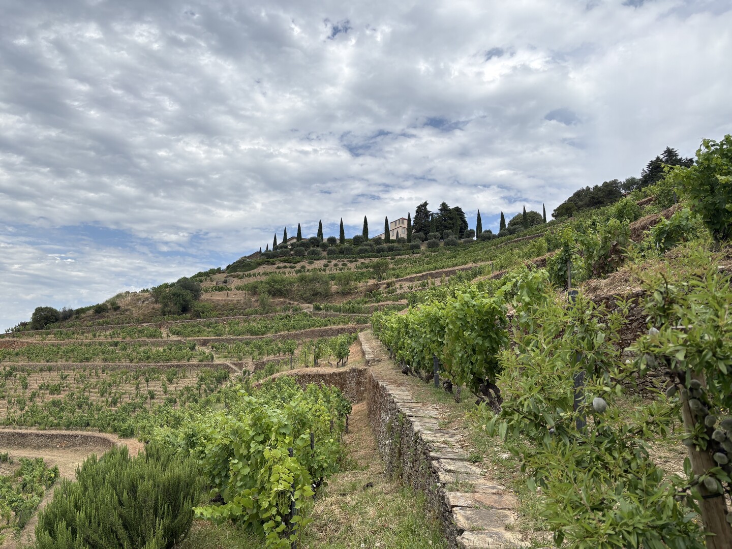 TOP 15 Wineries in the Douro Valley to visit - 2026 - 5 - Douro valley wineries Quinta Do Seixo – Valença do Douro (2)