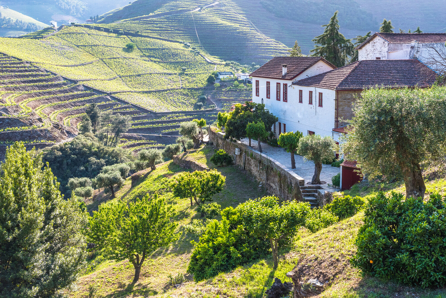 TOP 15 Wineries in the Douro Valley to visit - 2026 - 2 - Douro valley wineries Douro valley wineries - TOP 15 Wineries in the Douro Valley to visit - 2026 - 1