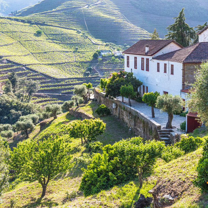 TOP 15 Wineries in the Douro Valley to visit - 2026 - 2 - Douro valley wineries Douro valley wineries - TOP 15 Wineries in the Douro Valley to visit - 2026 - 1