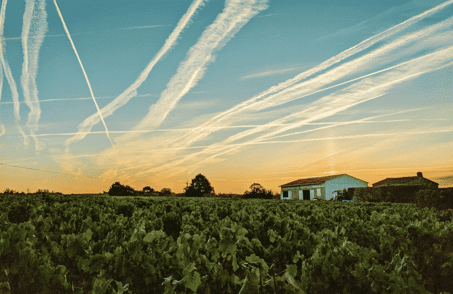 Visiter Clisson: Découverte enchantée en Loire-Atlantique - 2026 - 7 - visiter clisson Oenotourisme vignoble
