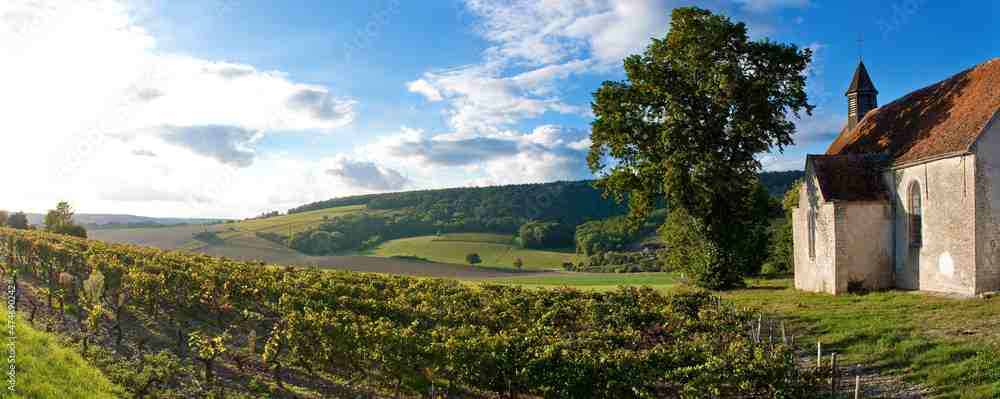 Route des vins de Chablis