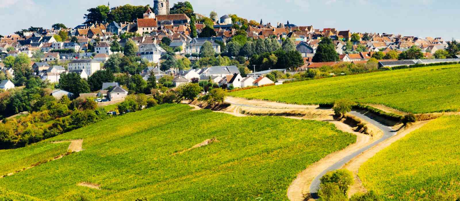 route des vins du centre val de loire-compressed