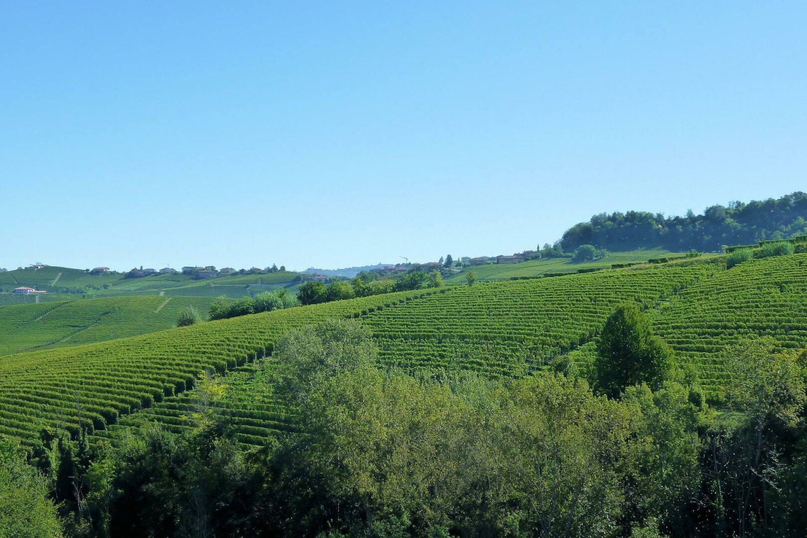 Migliori regioni vinicole Italiane - 2026 - 5 - regioni vinicole italiane regioni vinicole italiane - Migliori regioni vinicole Italiane - 2026 - 4