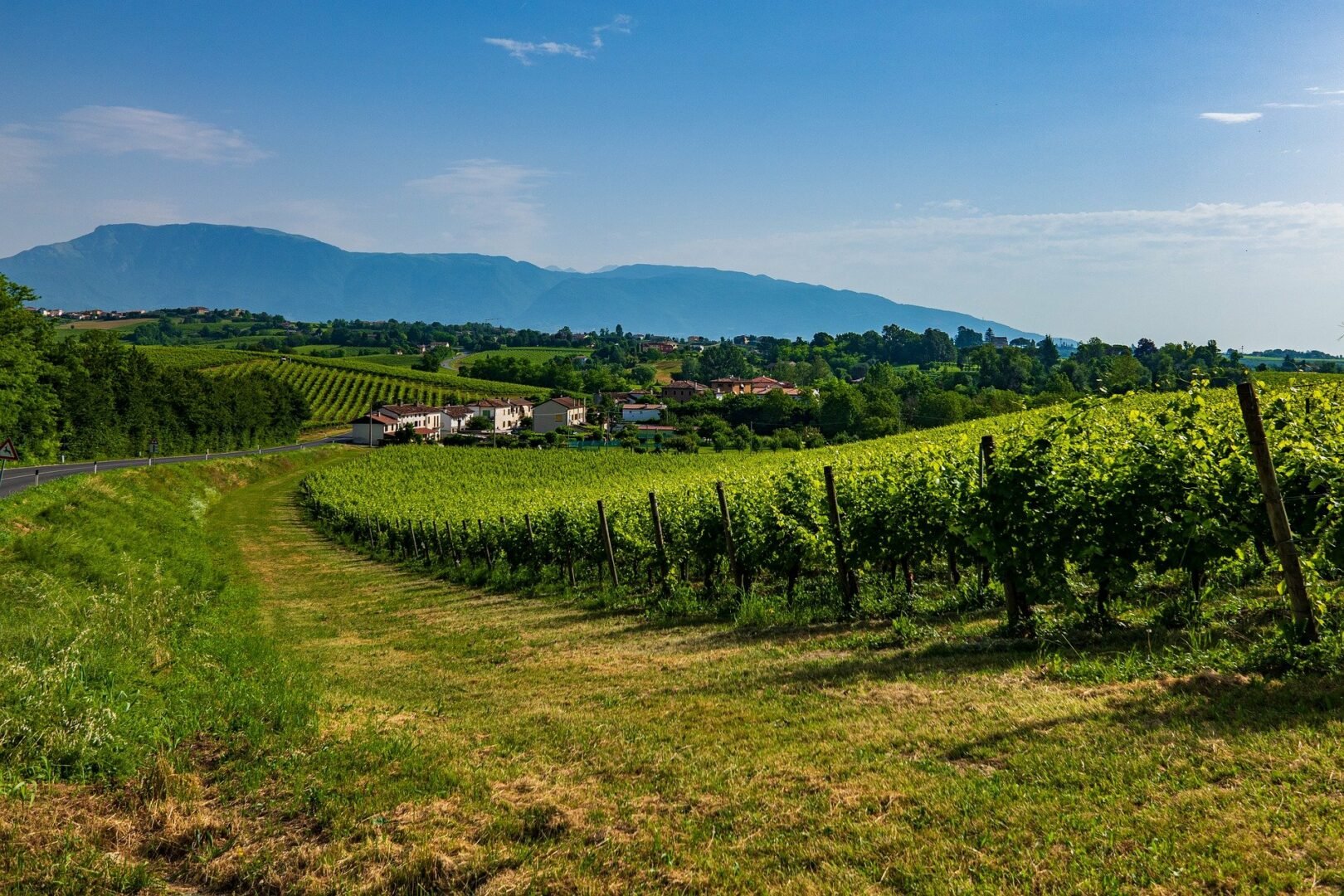 Migliori regioni vinicole Italiane - 2026 - 7 - regioni vinicole italiane regioni vinicole italiane - Migliori regioni vinicole Italiane - 2026 - 6