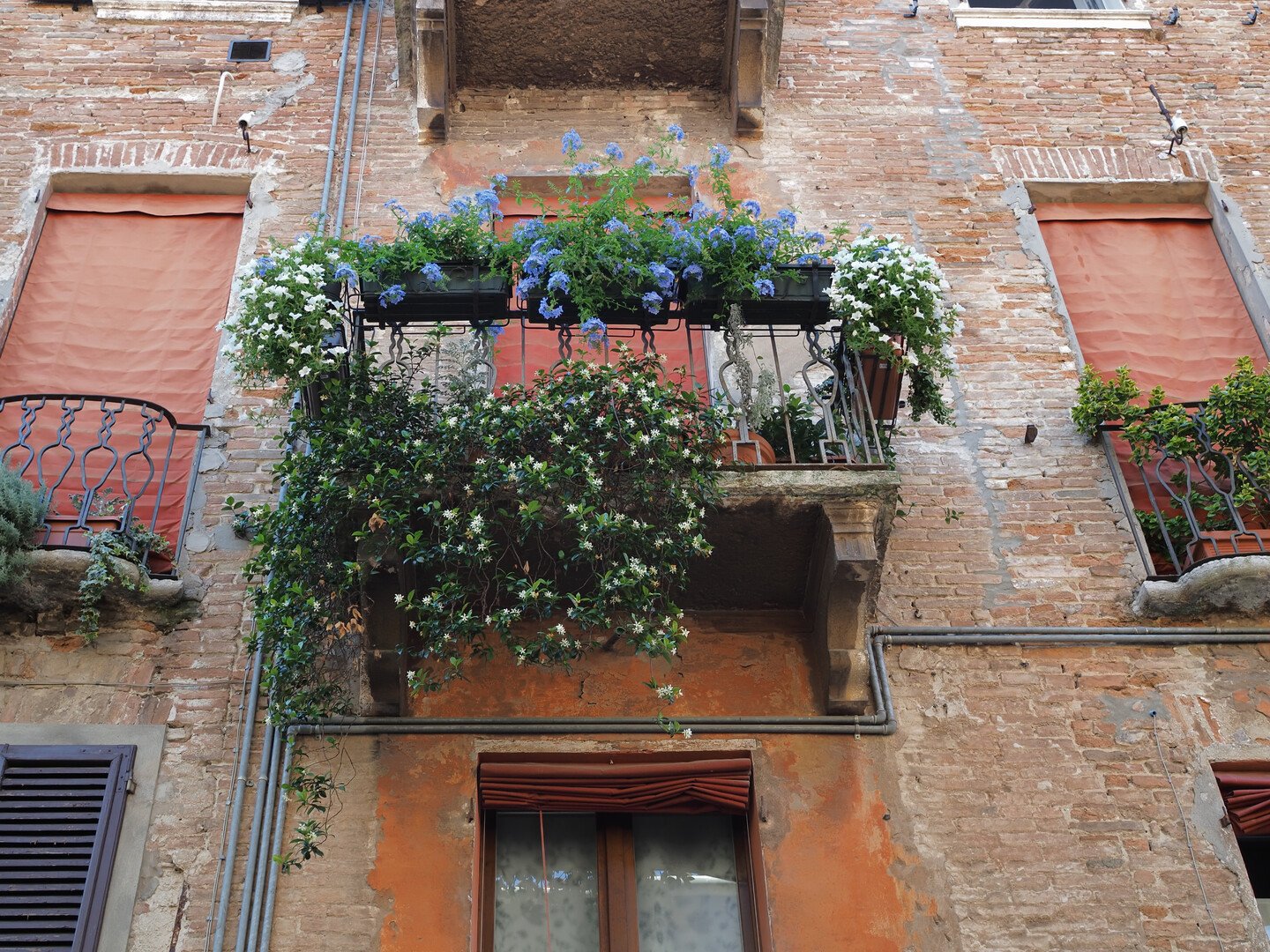 Cosa vedere a Ferrara: TOP 10 posti da non perdere - 2026 - 13 - cosa vedere a ferrara,cosa fare a ferrara,visitare ferrara cosa vedere a ferrara,cosa fare a ferrara,visitare ferrara - Cosa vedere a Ferrara: TOP 10 posti da non perdere - 2026 - 12