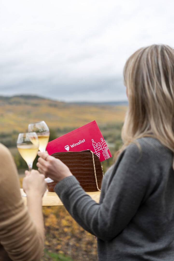 Best Christmas Wine Gifts ideas to make a good impression - 2026 - 18 - wine christmas gifts wine christmas gifts - Best Christmas Wine Gifts ideas to make a good impression - 2026 - 17