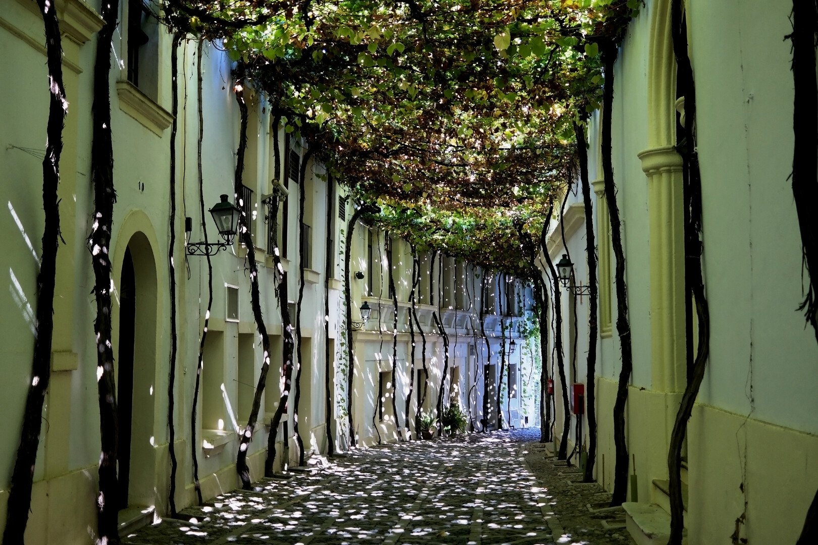 Unmissable Things to Do in Jerez de la Frontera - 2026 - 18 - Things to Do in Jerez de la Frontera Things to Do in Jerez de la Frontera - Unmissable Things to Do in Jerez de la Frontera - 2026 - 17