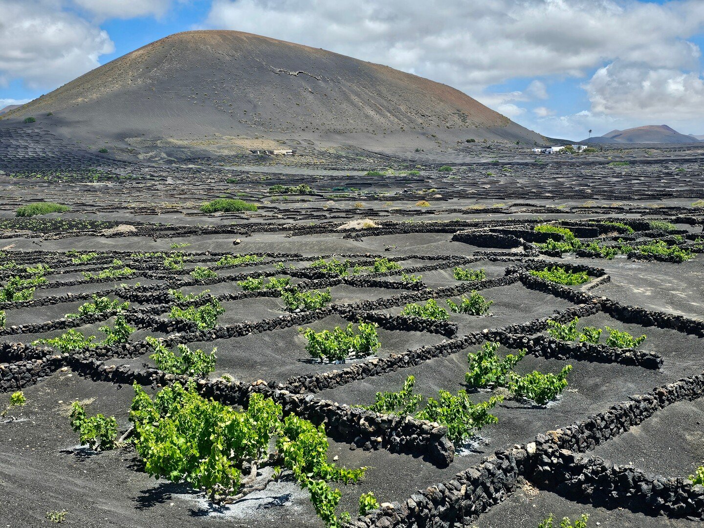 Visit Teguise and Get Lost in Lanzarote’s Coolest Time Capsule - 2026 - 18 - visit teguise visit teguise - Visit Teguise and Get Lost in Lanzarote’s Coolest Time Capsule - 2026 - 17
