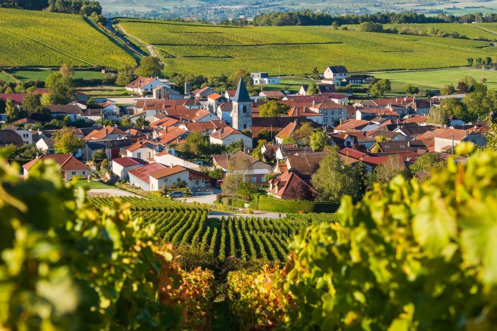 Cosa vedere a Troyes e Dintorni: luoghi imperdibili - 2026 - 8 - cosa vedere a troyes,visitare troyes Découvrez la Champagne, qui renferme certaines des plus belles caves du monde