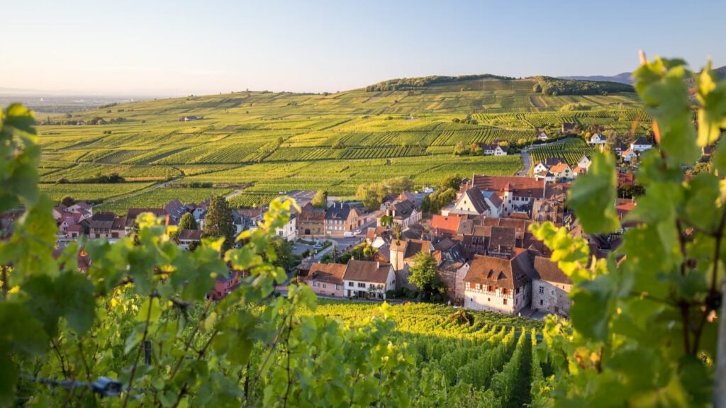 Week-end oenologie en Alsace !