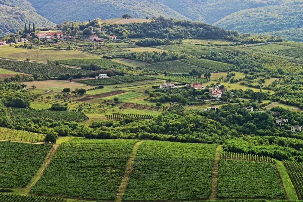 Les Routes des vins de Bordeaux : Domaines, itinéraires et cartes - 2026 - 45 - route des vins de Bordeaux panorama sur la route des vins de bordeaux