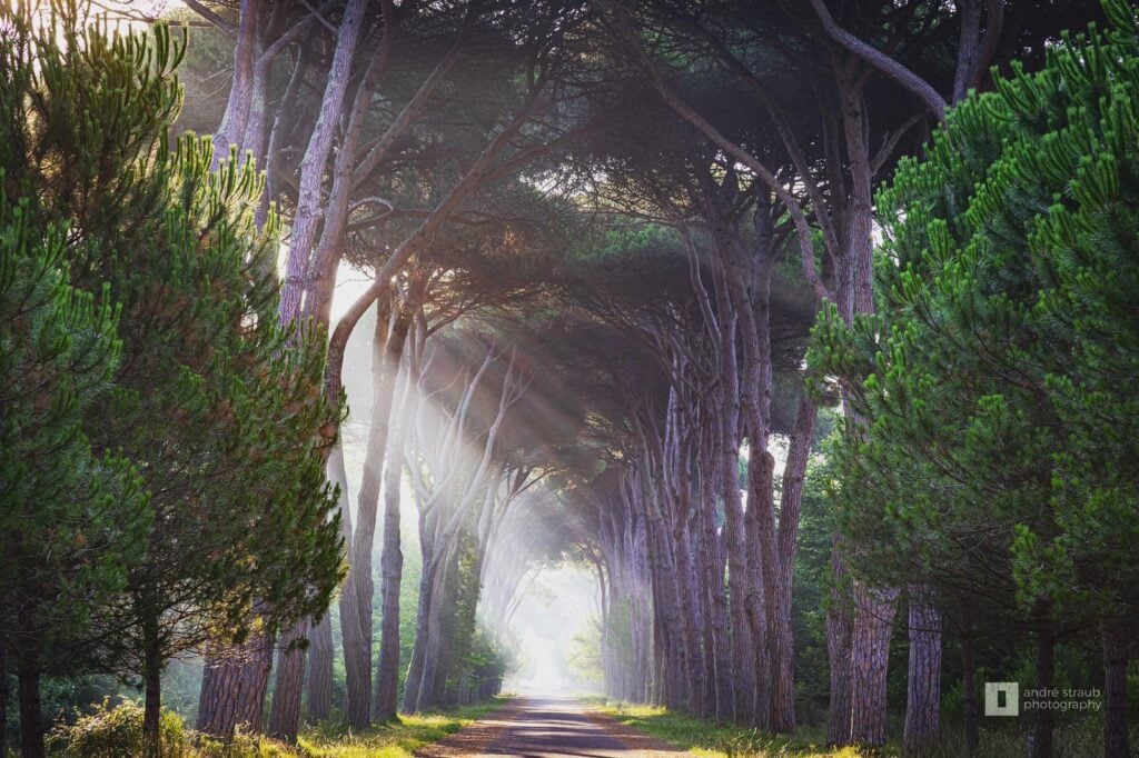 Week-end en Toscane : les lieux incontournables - 2026 - 7 - week-end en toscane week-end en toscane - Week-end en Toscane : les lieux incontournables - 2026 - 6