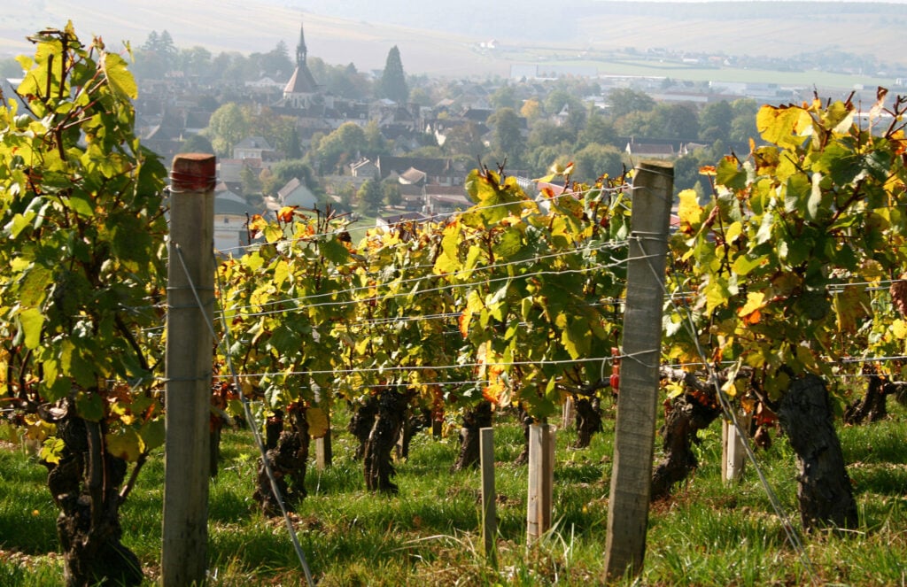 Visiter la Bourgogne en voiture : Road trip sur la route des grands crus - 2026 - 5 - visiter la bourgogne en voiture Surnommée la porte d'or de la Bourgogne, Chablis est une charmante bourgade célèbre pour son vin prestigieux