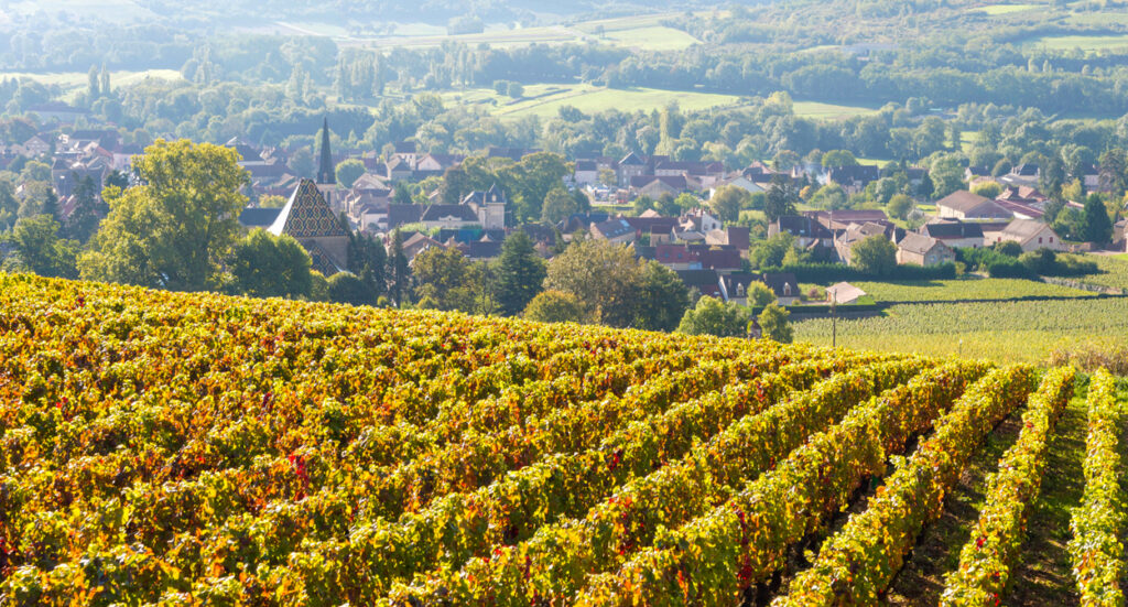 Top things to do in Macon France - 2026 - 9 - things to do in macon bourgogne