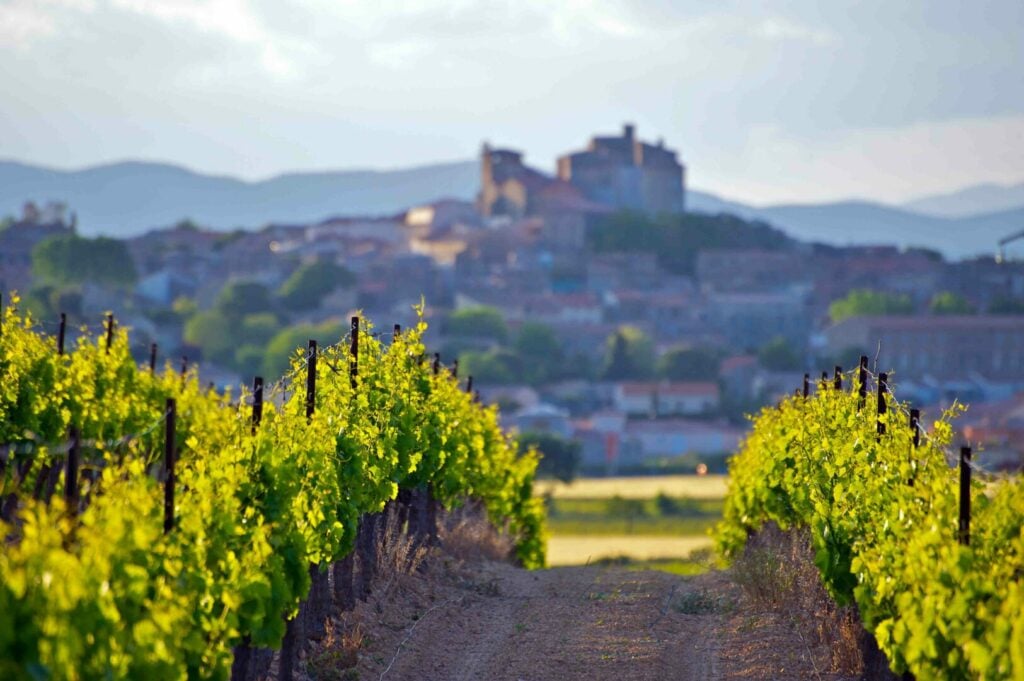 Visiter Collioure : Les incontournables à voir et faire - 2026 - 13 - visiter collioure visiter collioure - Visiter Collioure : Les incontournables à voir et faire - 2026 - 12