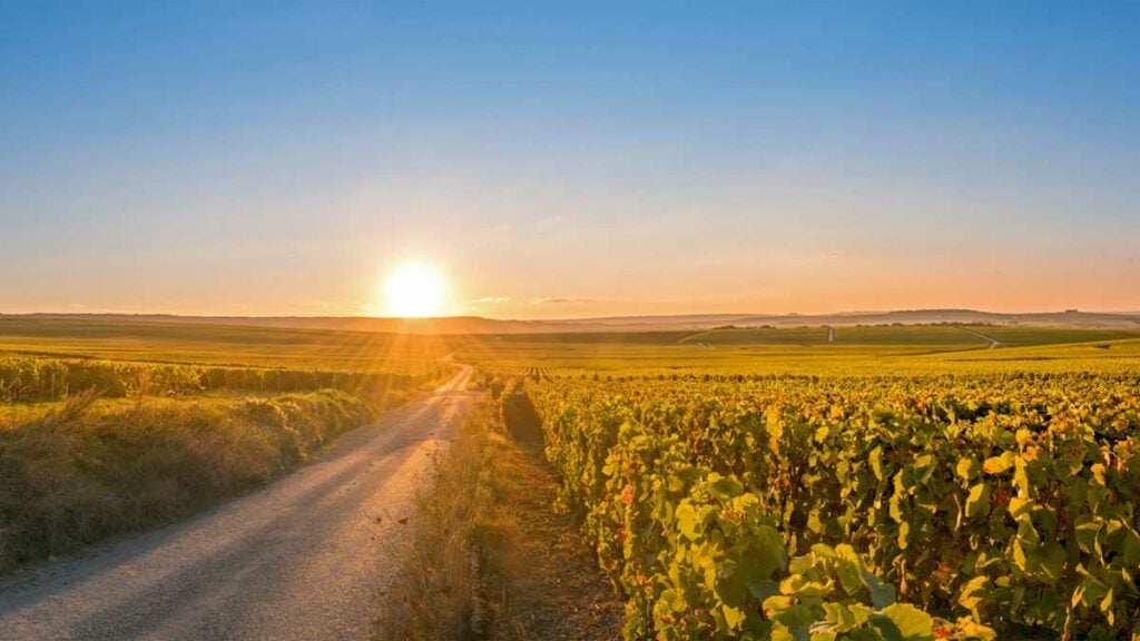 Cosa vedere a Troyes e Dintorni: luoghi imperdibili - 2026 - 3 - cosa vedere a troyes,visitare troyes Champagne-sunset